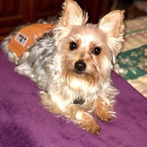 Meet your Posher, Kathy